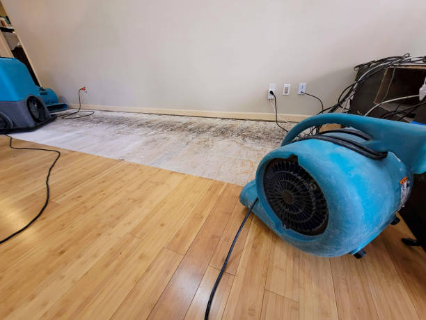 Professional Water Damage Repair technician working in Tellico Plains, TN